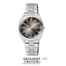 Ceas bărbătesc Q&Q quartz, carcasă argintie QA74J202Y