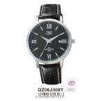 Ceas bărbătesc Q&Q quartz, carcasă argintie QZ06J308Y