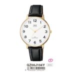 Ceas bărbătesc Q&Q quartz, carcasă aurie QZ00J104Y