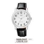 Ceas bărbătesc Q&Q quartz, carcasă argintie Q868J304Y