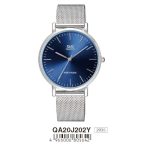 Ceas bărbătesc Q&Q quartz, argintiu QA20J202Y