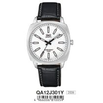 Ceas bărbătesc Q&Q quartz, carcasă argintie, QA12J301Y