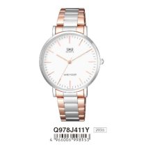 Ceas bărbătesc Q&Q quartz, bicolor, Q978J411Y