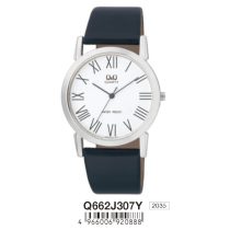 Ceas bărbătesc Q&Q quartz, carcasă argintie, Q662J307Y